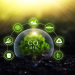 6 Steps to Corporate Decarbonisation